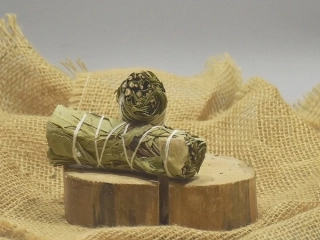 Eukalyptus